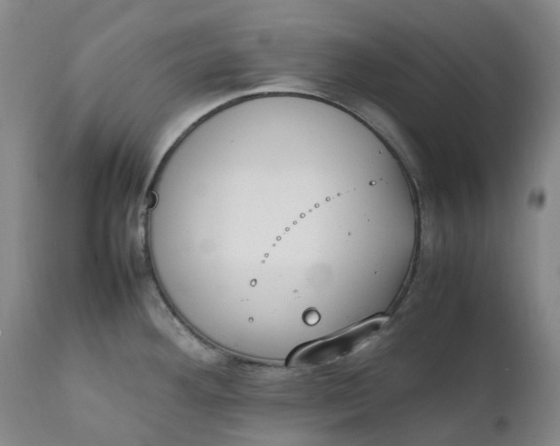 X0000111251292200907161357