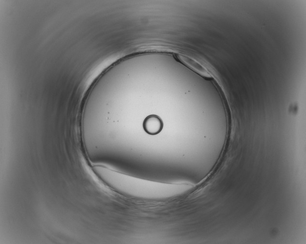 X0000111251293200907161357