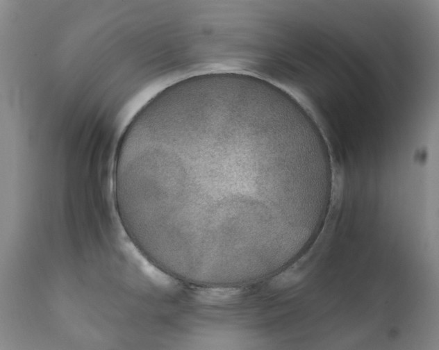 X0000111251294200907161357