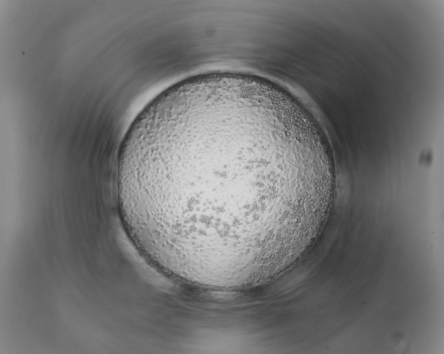 X0000111251295200907161357