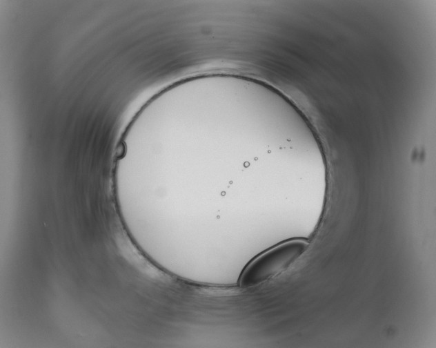 X0000111251296200907161357