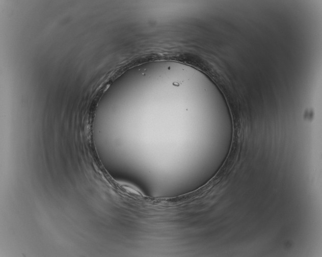 X0000111251298200907161356