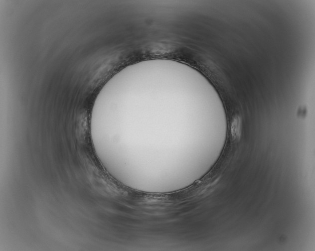 X0000111251299200907161356