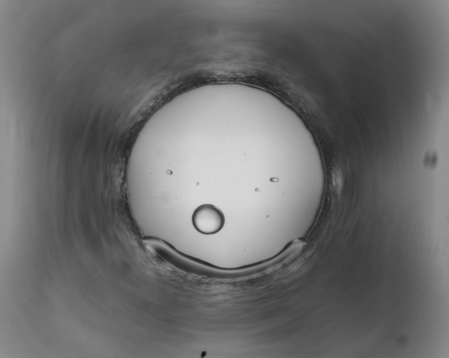 X0000111251300200907161356