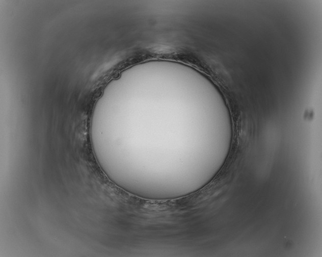 X0000111251301200907161356