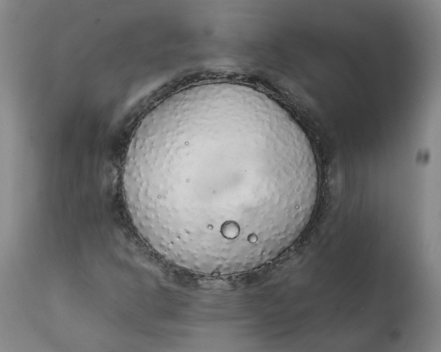 X0000111251302200907161356