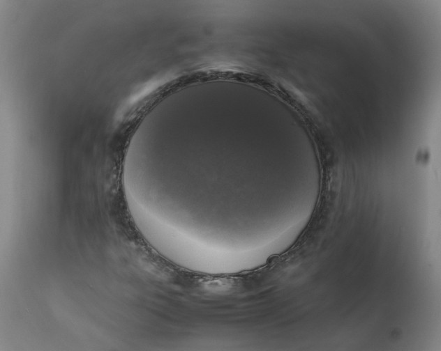 X0000111251303200907161356