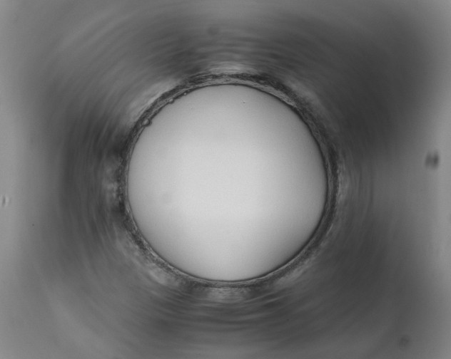 X0000111251305200907161356