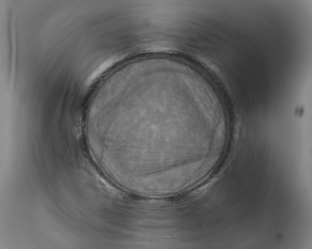 X0000111251306200907161356