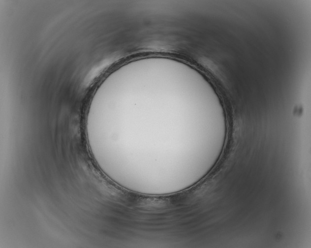 X0000111251307200907161357