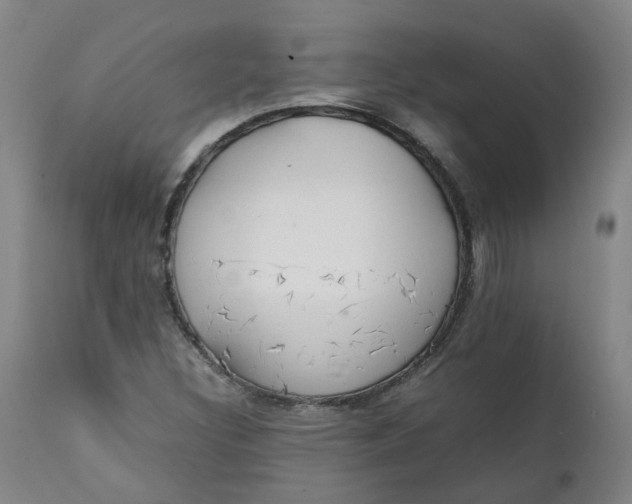 X0000111251308200907161357