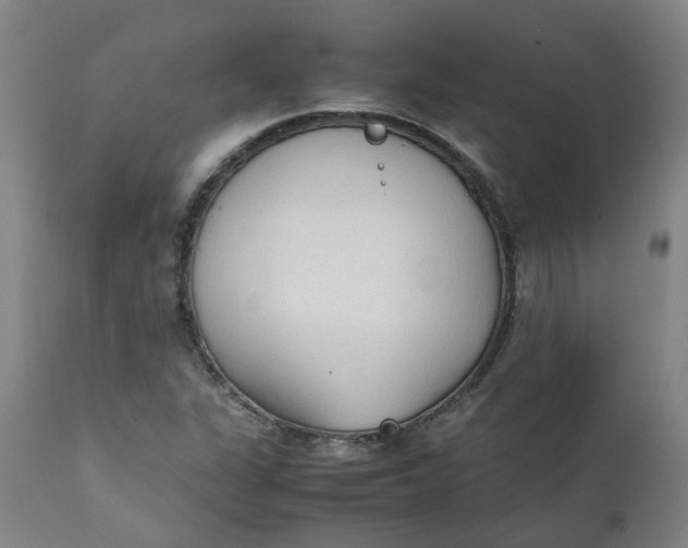 X0000111251311200907161357