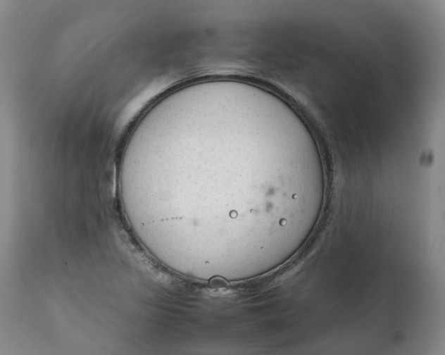 X0000111251317200907161357