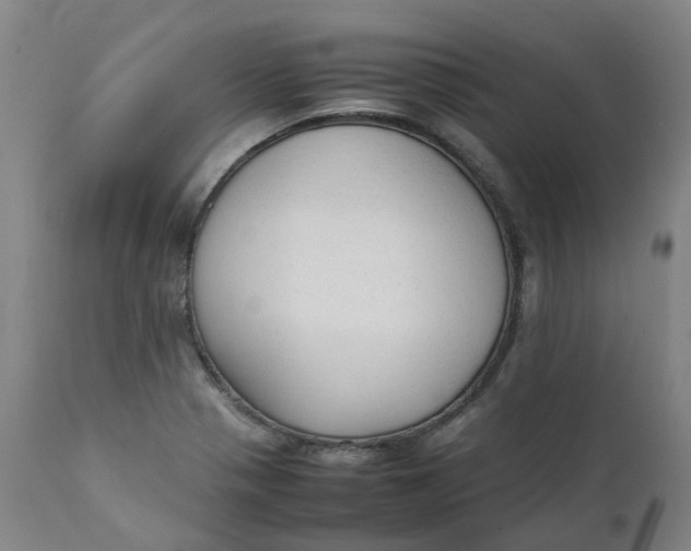 X0000111251321200907161357