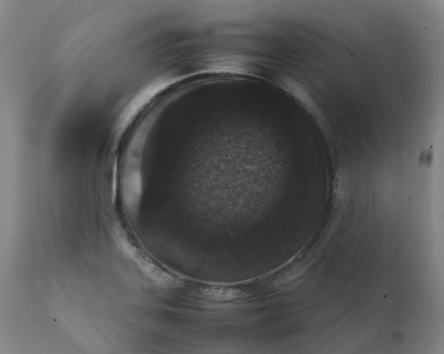 X0000111251323200907161357