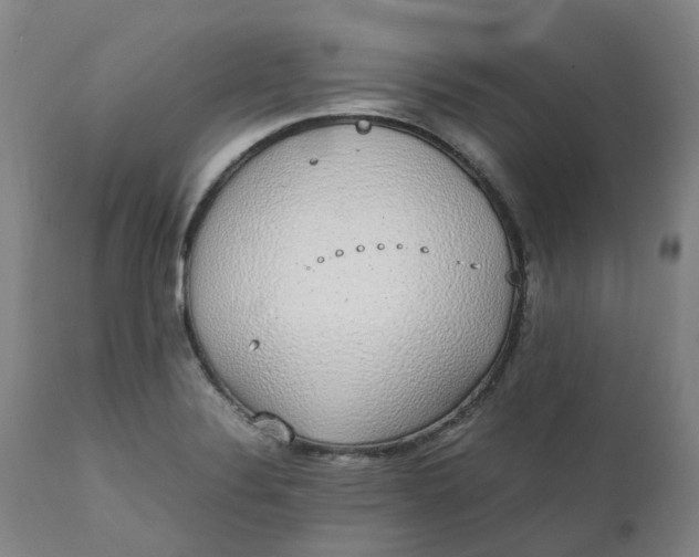 X0000111251324200907161357