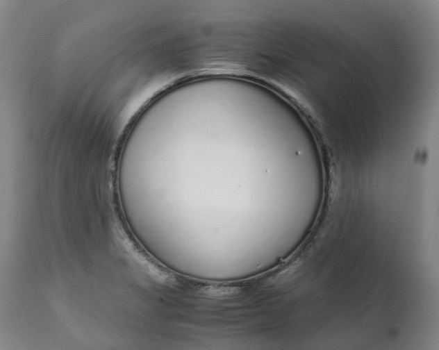 X0000111251325200907161357