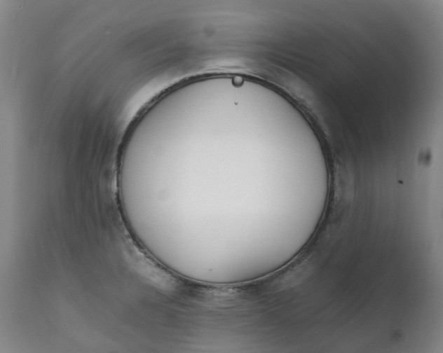 X0000111251328200907161357