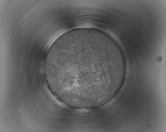 X0000111251329200907161357