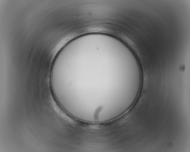 X0000111251330200907161357