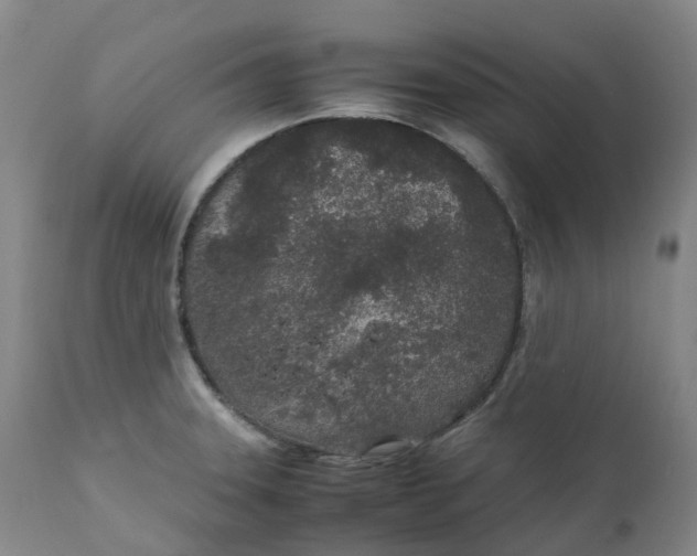 X0000111251331200907161357