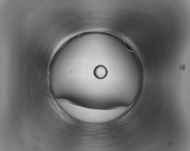 X0000111251332200907161357