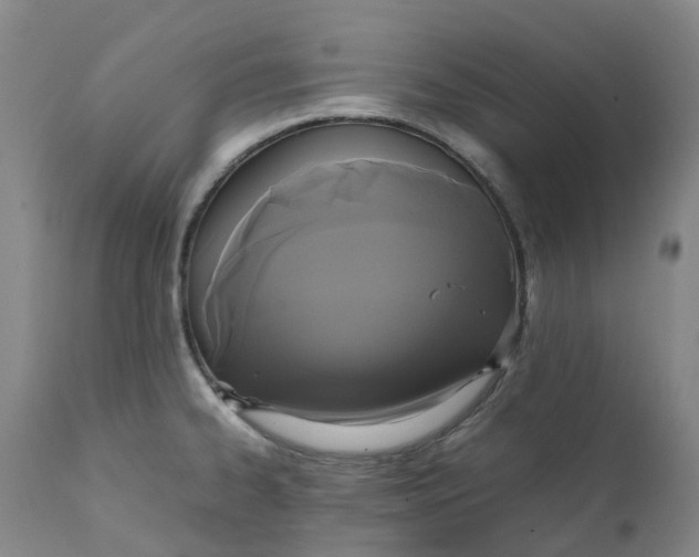 X0000111251334200907161357