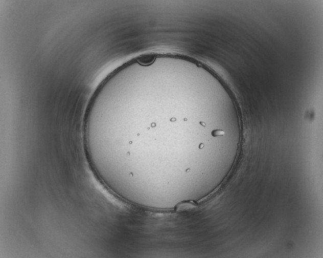 X0000111251335200907161357