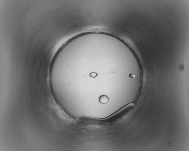 X0000111251336200907161357