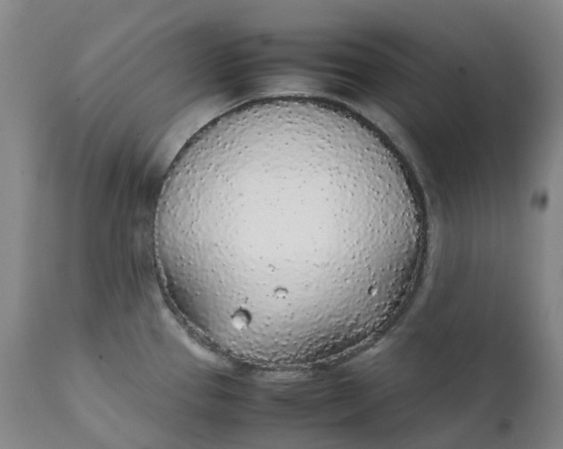 X0000111251337200907161357