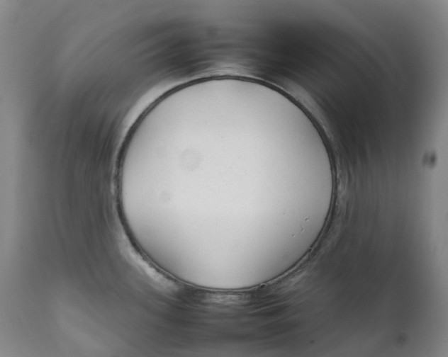 X0000111251339200907161357