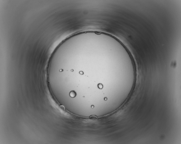 X0000111251341200907161357