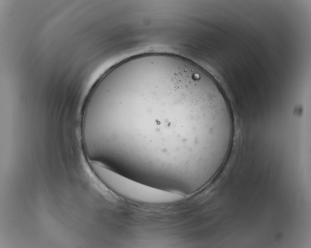 X0000111251342200907161357