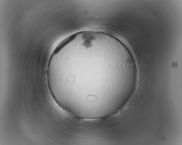 X0000111251344200907161357