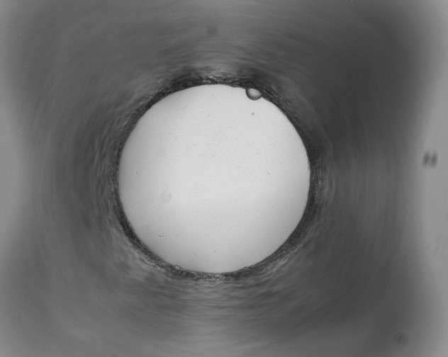 X0000111251345200907161356