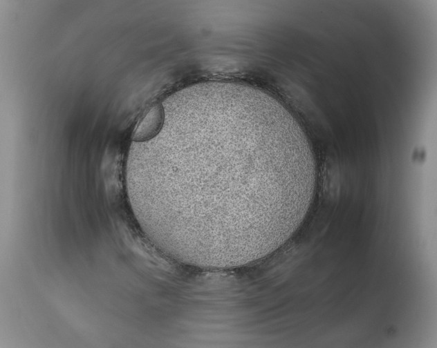 X0000111251346200907161356