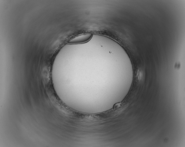 X0000111251348200907161356