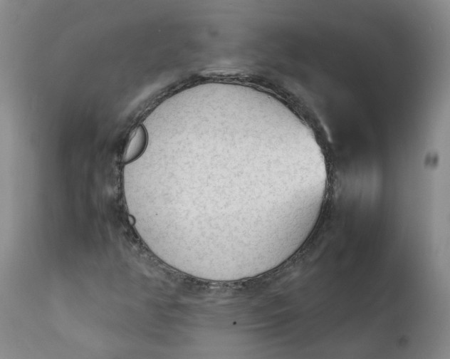 X0000111251350200907161356