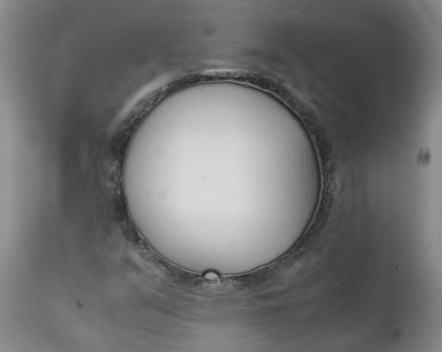 X0000111251351200907161356