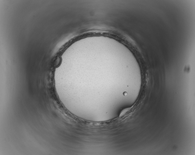 X0000111251352200907161356