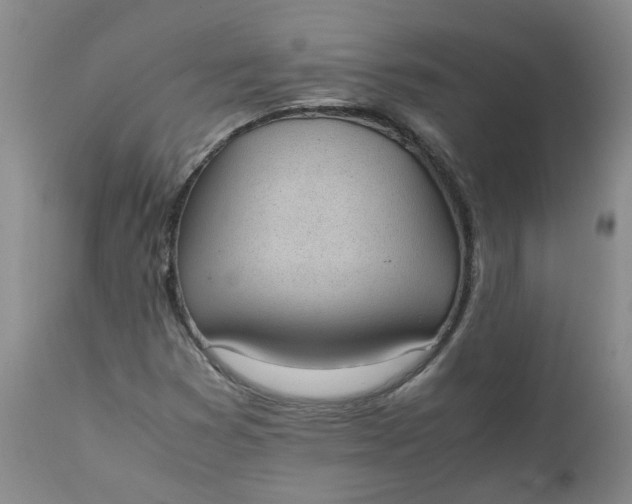 X0000111251353200907161356