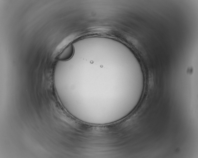 X0000111251354200907161356