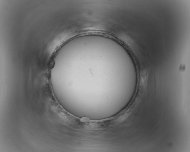 X0000111251357200907161356