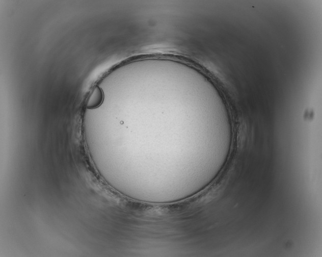 X0000111251358200907161356