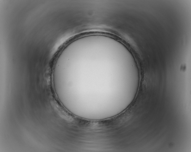 X0000111251360200907161356