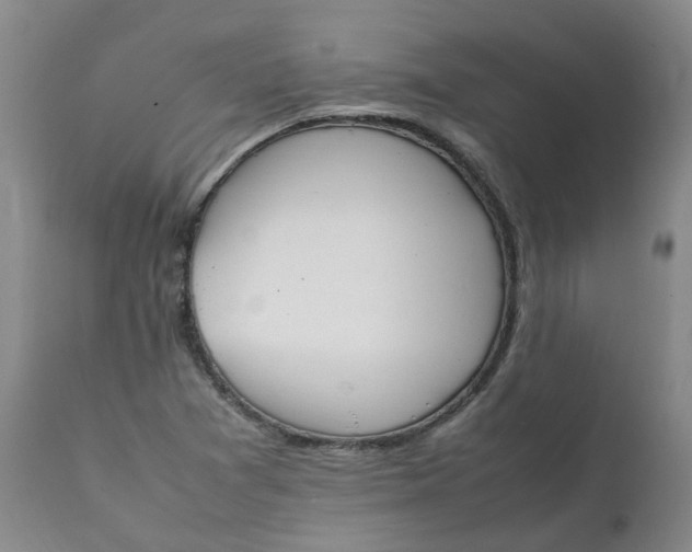 X0000111251361200907161356