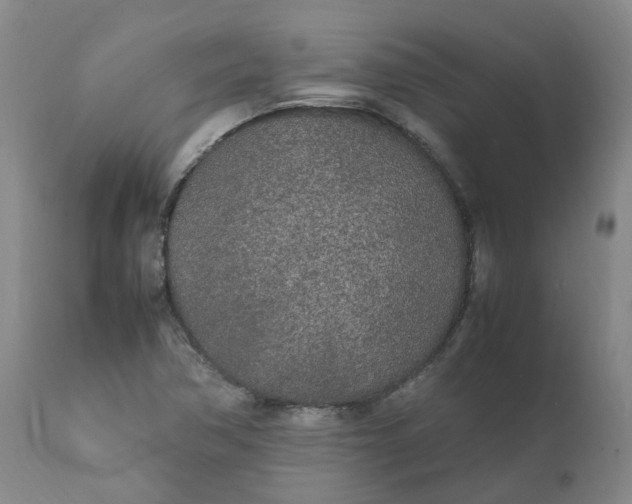 X0000111251362200907161356