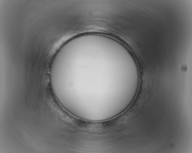 X0000111251363200907161356