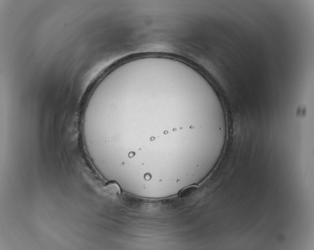 X0000111251364200907161356