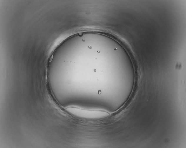 X0000111251365200907161356